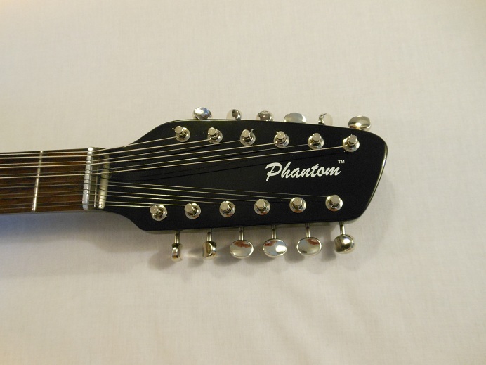 Teardrop Hollow Body 12 String Picture 3